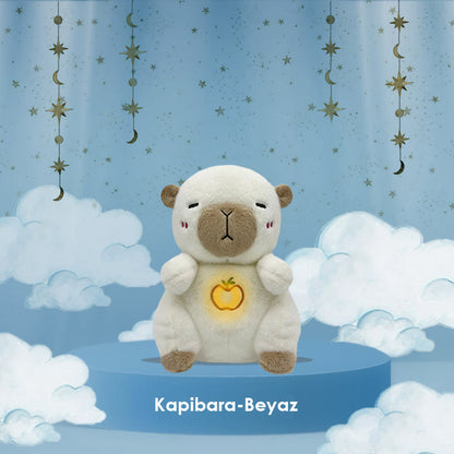 UykuPof™ Uyku Dostu